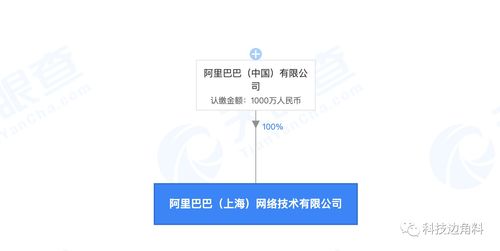 阿里巴巴在上海成立新公司，注冊資本1000萬元聚焦軟件開發(fā)
